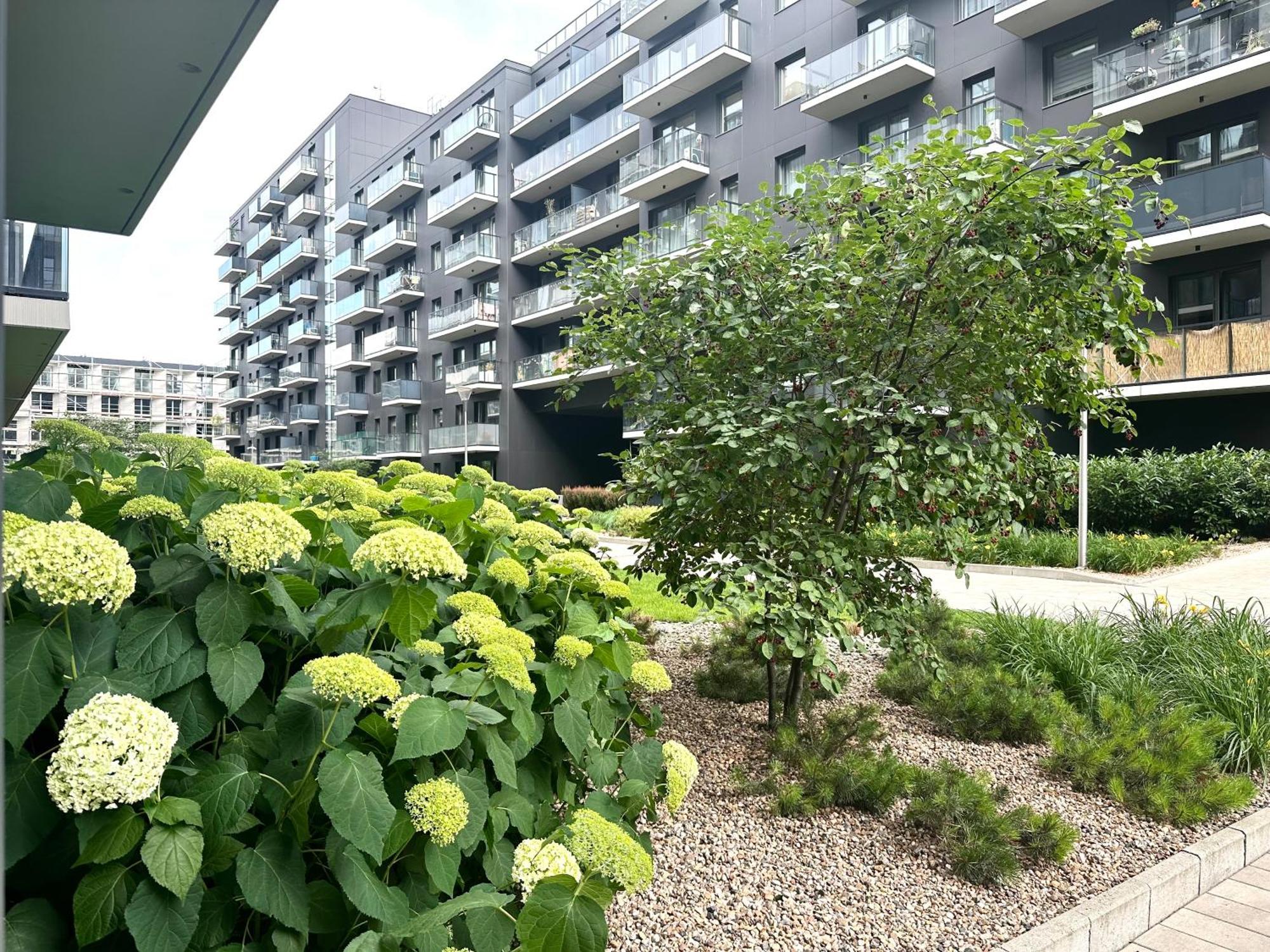 Mieszczanska 25 Apartment - Self Check-In 20H - Parking & Lift Wrocław Exterior foto
